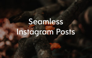 Seamless Instagram Posts Image
